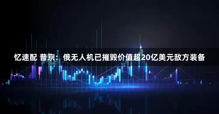 忆速配 普京：俄无人机已摧毁价值超20亿美元敌方装备